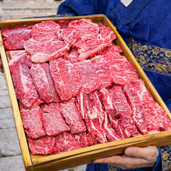 1++한우 실속 프리미엄 모듬 600g (등심 200g + 차돌박이 200g + 특수모듬(랜덤) 200g)