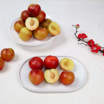(농할) 국내산 새콤달콤 노지 자두 1kg/2kg