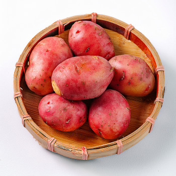 (농할) [경매직송] 포슬포슬 달콤한 홍감자 2kg/3kg/5kg