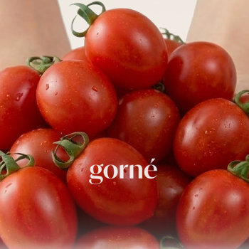 [농협직배송/고당도] 스테비아 방울토마토 (1-3번 혼합) 2kg [500g *2팩/4팩]