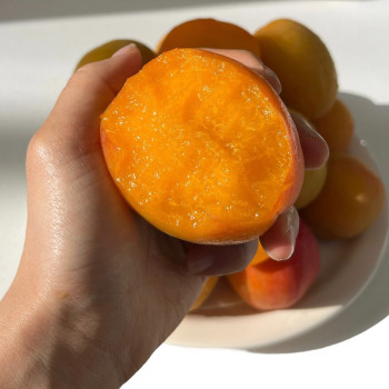 (농할)국내산 플럼코트 자두살구 새콤달콤 500g/ 1kg/ 2kg