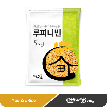 수입 루피니빈 루피니콩 5kg/10kg(5kgX2) 대용량 이눌린 풍부한 영양만점 콩