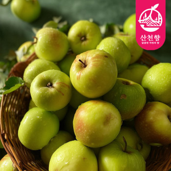 (농할) [산천향] 안동사과 26년산 햇 세척 썸머킹 (가정용) 2kg/3kg/5kg (예약판매 7/6 순차출고)