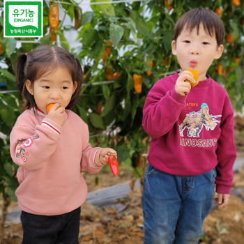 [26년산] 홍성 엄마농부의 유기농 삼색 미니파프리카 1kg (무선별) 당일수확 파프리카