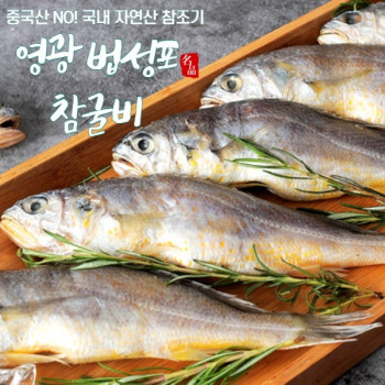 [미성] 참굴비  (20미/1kg이상~2.2kg이상)골라담기