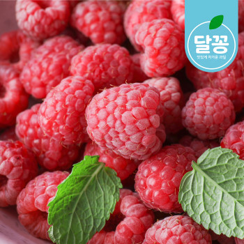 ★매주월/수출고★ [달꽁] 국내산 급냉산딸기 / 수량선택