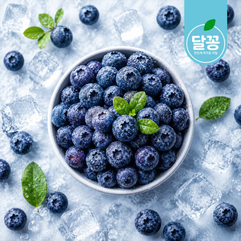 [달꽁] IQF 급속 냉동 미국산 블루베리 2kg/3kg/4kg