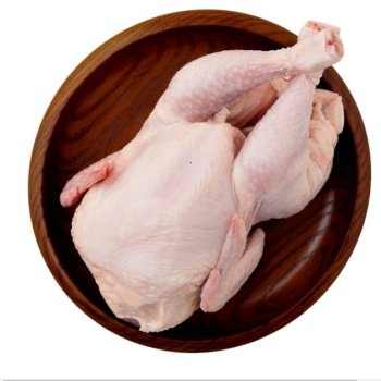 100% 국내산  냉장 토종닭  삼계  2마리셋트(한마리500g~)