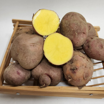 [클래식농원] GAP, 저탄소 국내산 괴산 홍감자 대왕 3kg / 5kg / 10kg