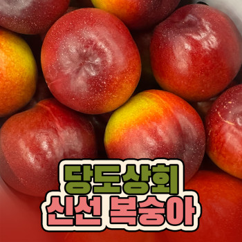 [당도상회] 국내산 신선 천도 복숭아 1kg/2kg/5kg