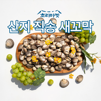 [초리마켓] 당일조업/당일출고 새꼬막 특/대/중/소 (2kg/3kg)