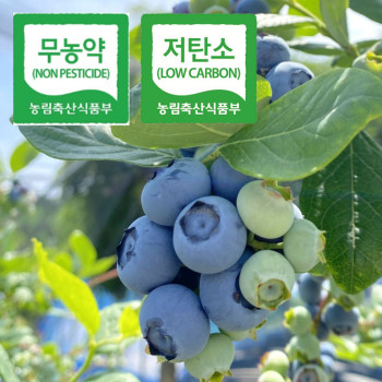[당일생산-당일출고] 무농약 저탄소 블루베리 농장 500g/1kg