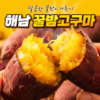 해남 햇고구마 꿀고구마 2kg/3kg/5kg/10kg