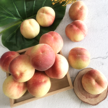 [영천] 산지직송 고당도 대극천 복숭아 1kg 2kg