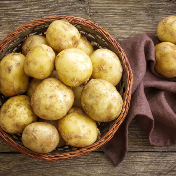 [농협] 한아름드린 수미감자 2kg/3kg/5kg/10kg (특/개당100-150g)