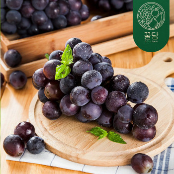 [꿀담] 풍부한 과즙 가득 켐벨포도 1kg/2kg/3kg