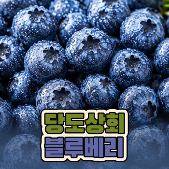 [당도상회] 국내산 생블루베리 (16MM이상 100g*2팩/4팩/6팩/10팩)