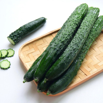 [농협] 한아름드린 취청오이 2kg/3kg/5kg/10kg(1kg당4-5개내)