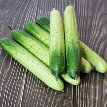 [농협] 한아름드린 백다다기오이 2kg/3kg/5kg/10kg(1kg당4-6개내)