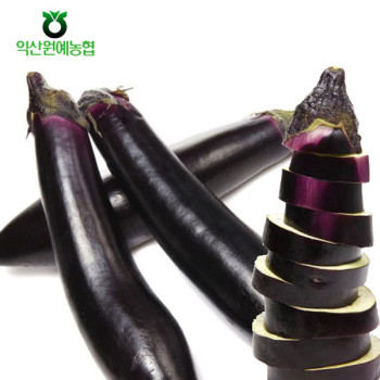 [농협] 한아름드린 제철미각 가지 1kg/2kg/5kg(특)