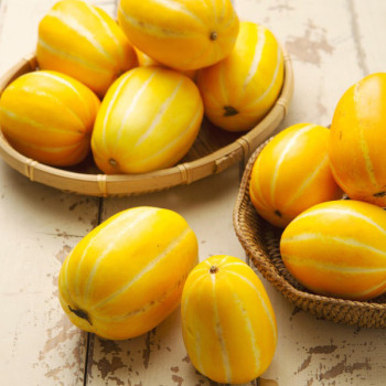 [농협공판장] 정성드린 성주참외 1봉/2봉(봉당1.2kg/3-6과)
