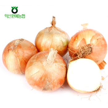 [농협공판장] 정성드린 양파 3kg/5kg(특)