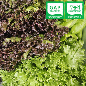 [자연속애] GAP/무농약인증 유러피안 샐러드용 모듬채소 800g/1kg(3-6종/랜덤발송)