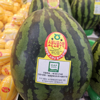 [장위시장] 고당도 고품질 최고의 수박 7kg, 8kg
