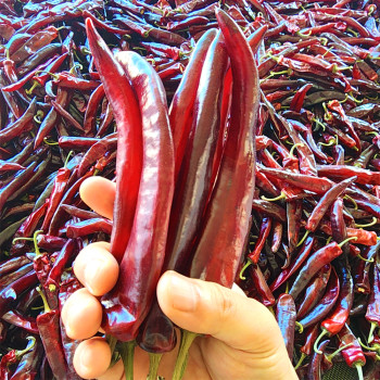 26년 국내산 세척 건고추 순한맛/보통맛/매운맛 1근(600g)