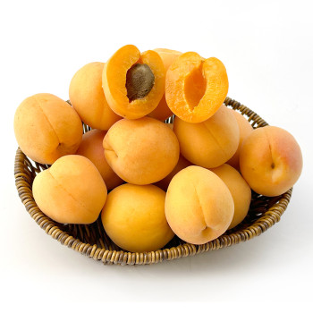(농할) 촉촉한 과육 새콤달콤 별빛살구 1kg/2kg 여름 제철과일