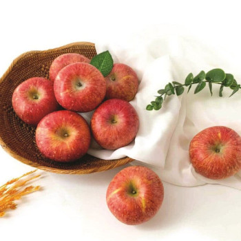고당도 세척사과 2kg/3kg/5kg/10kg 껍질째 먹는 경북 사과