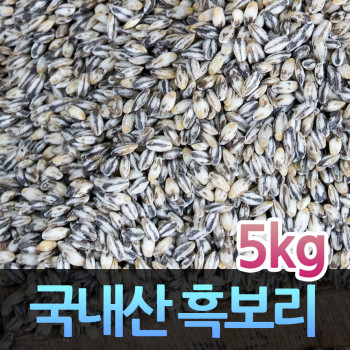 국내산 블랙푸드 흑보리(500g/1kg/4kg/5kg) 25년 [산지직송]
