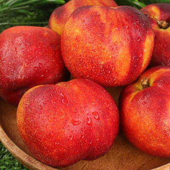 (농할) [영천] 과즙팡팡 썬프레복숭아 1kg/2kg