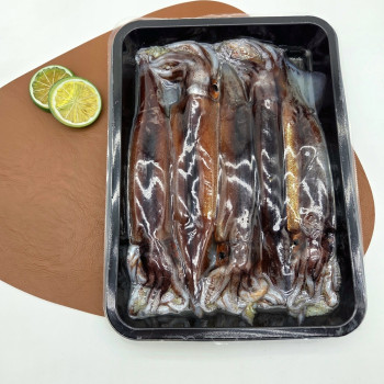 [강릉] 산지직송 동해안 자연산 활오징어(급냉) 5미 750g 내외(초장 증정)
