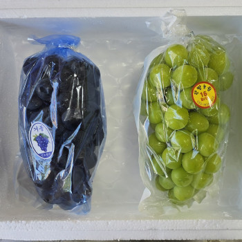 국내산 샤인머스켓 거봉 혼합세트 900g/ 2kg
