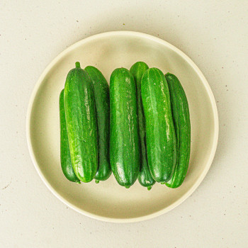 국내산 미니오이 2kg