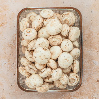 국내산 양송이버섯 500g 1kg 중품 특품