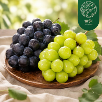 [꿀담] 2가지 맛을 한번에 거봉+샤인머스켓 세트(아이스박스포장)
