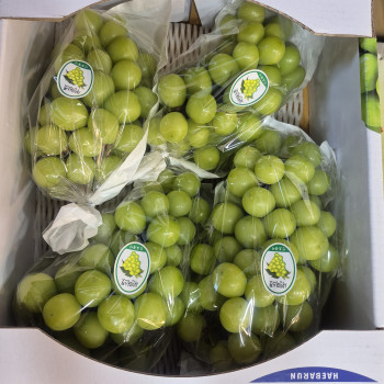 (농할) [계양산][공원] 국내산 샤인머스켓 4kg