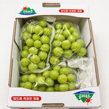 [계양산][공원] 국내산 샤인머스켓 2kg