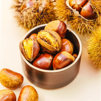 국내산 부여 알밤 중 대 특 1kg