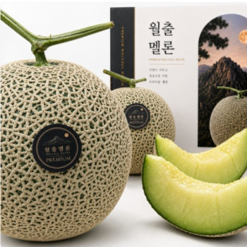 영암 산지직송 고당도 머스크멜론 특품 2수/4수