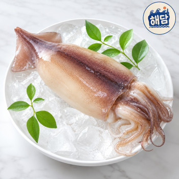 [해담] 오동통 쫄깃한 손질 오징어 500g (급냉+아이스박스)