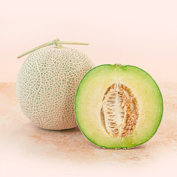 국내산 머스크 메론 1.2kg 2입 중소과 특품