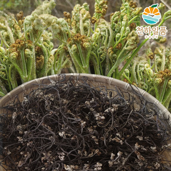 천하일품 제주 명품 첫물 햇 건 고사리 100g