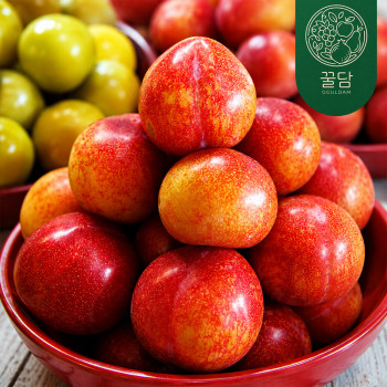 [꿀담] 말랑하고 달콤한 후무사 자두 500g/1kg/2kg