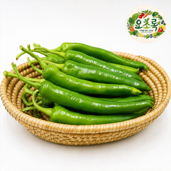 (농할) [오초록] 맵지 않은 아삭이 오이고추 1kg/2kg/5kg