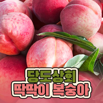 [당도상회] 국내산 달달한 딱딱이복숭아 중과 1lg/2kg