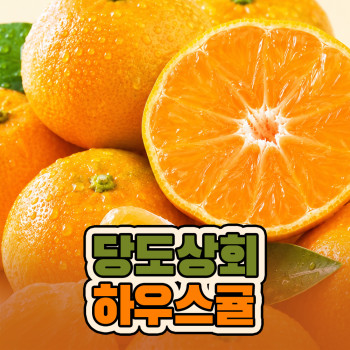 [당도상회] 국내산 하우스 귤 밀감 감귤 500g 1팩 (중소과)