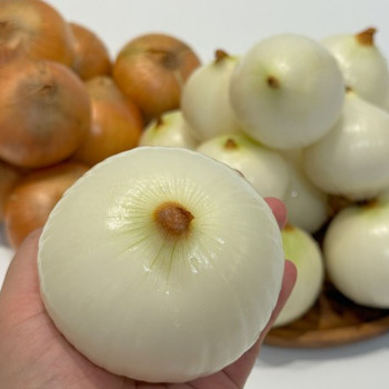 (농할) [딱! 7일 특가] [모아담]싱싱하고 단단한 국내산 미절단 깐양파 (2kg/3kg)